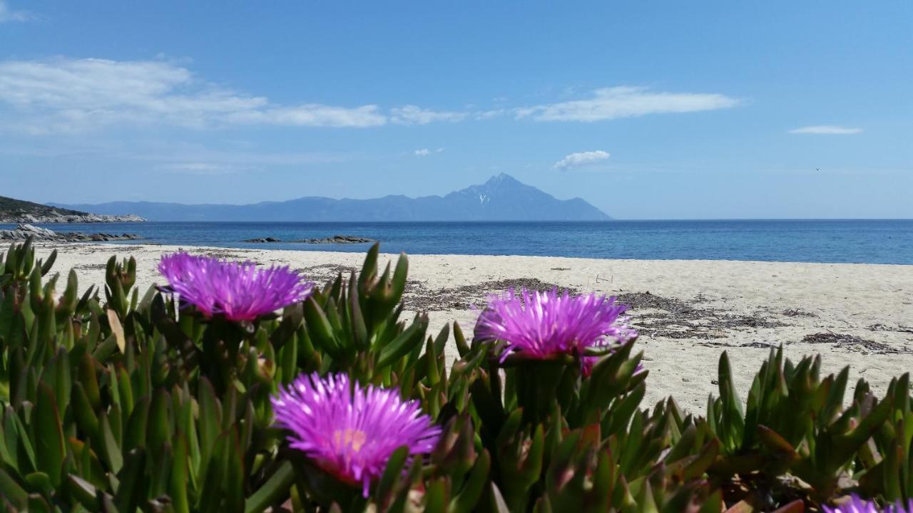 Villa Maria Sarti Dış mekan fotoğraf
